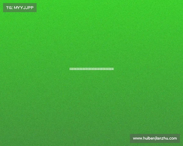 致力打造马拉松赛事一流服务体系确保每位跑者享受完美竞赛体验